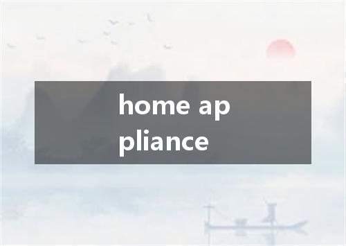 home appliance是什么意思