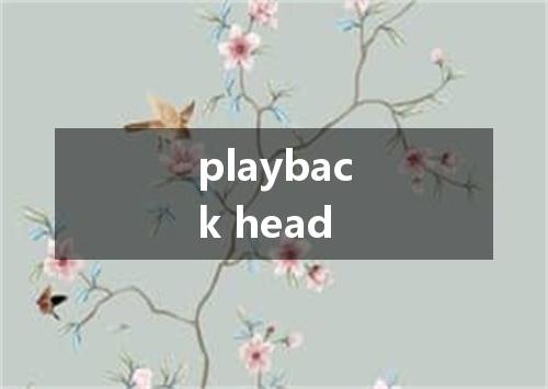 playback head是什么意思