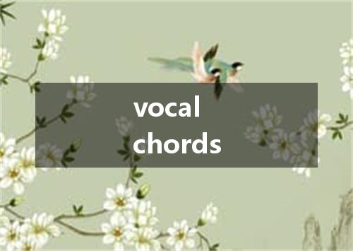 vocal chords是什么意思