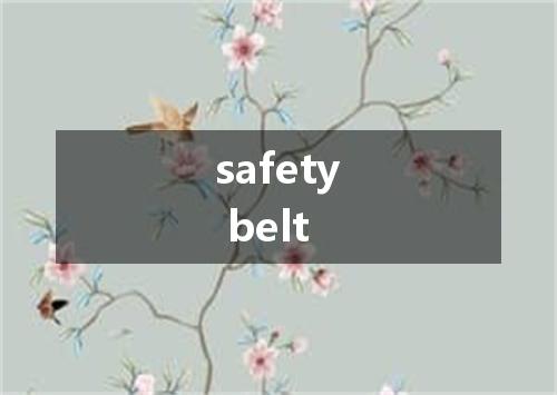 safety belt是什么意思