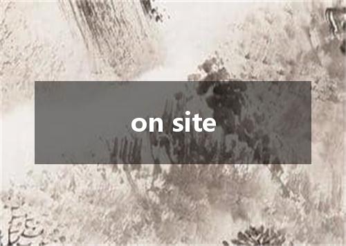 on site是什么意思