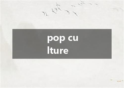 pop culture是什么意思