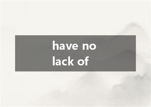 have no lack of是什么意思