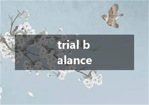 trial balance是什么意思