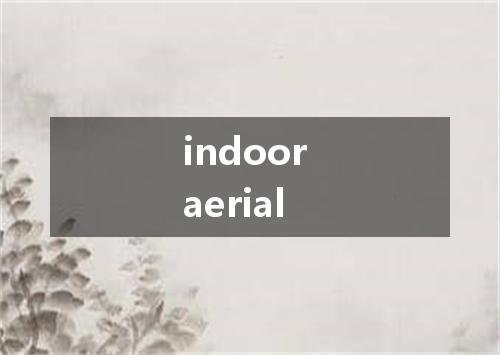indoor aerial是什么意思