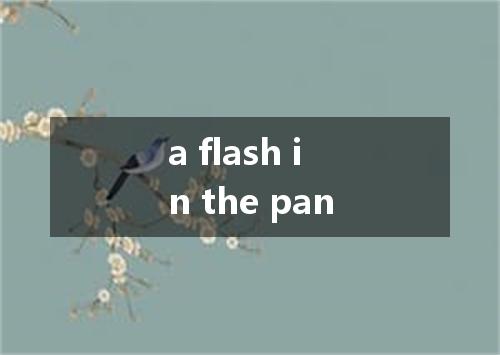 a flash in the pan是什么意思