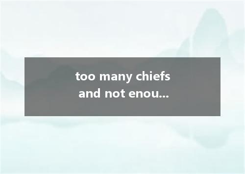 too many chiefs and not enough Indians是什么意思