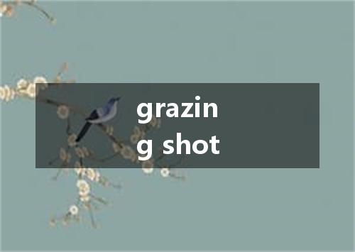 grazing shot是什么意思