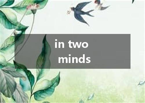 in two minds是什么意思