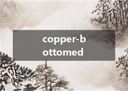 copper-bottomed是什么意思