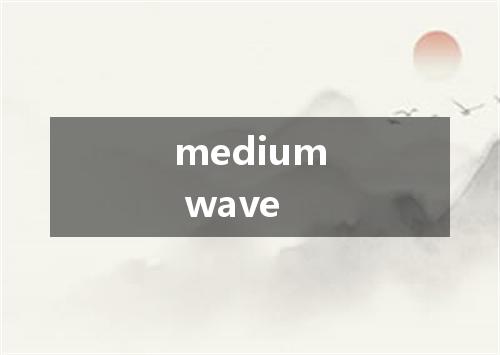 medium wave是什么意思