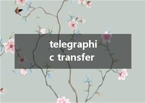 telegraphic transfer是什么意思