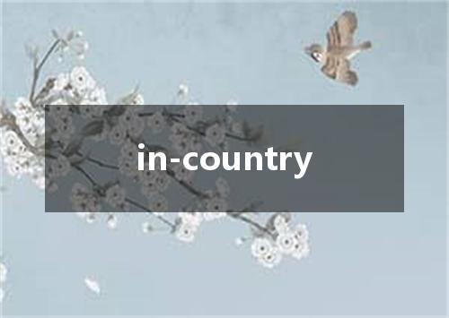 in-country是什么意思