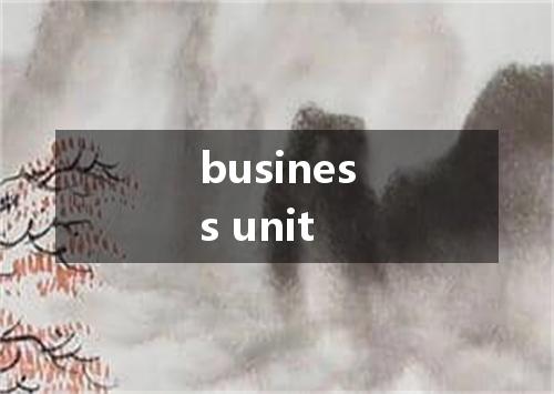 business unit是什么意思