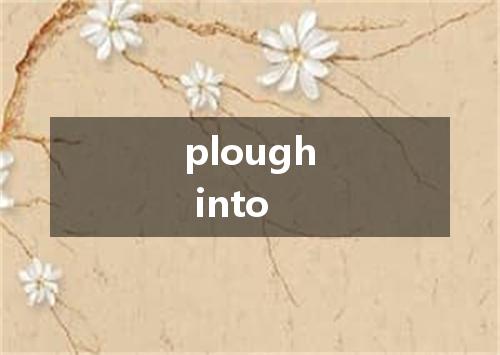 plough into是什么意思