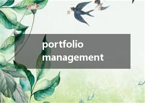 portfolio management是什么意思