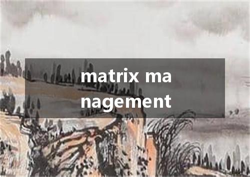 matrix management是什么意思