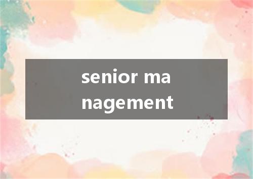 senior management是什么意思