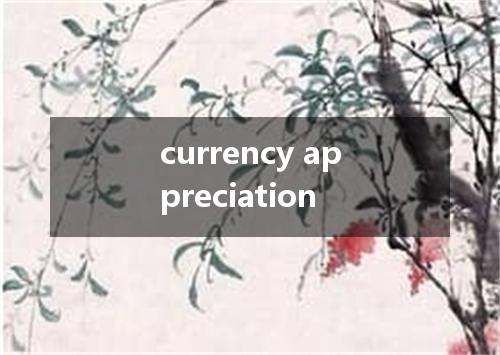 currency appreciation是什么意思