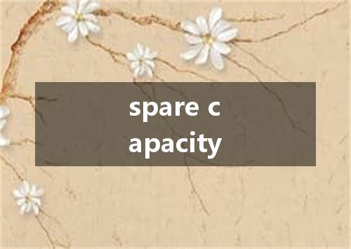spare capacity是什么意思
