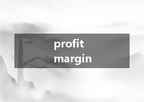 profit margin是什么意思