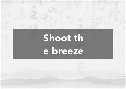 Shoot the breeze是什么意思