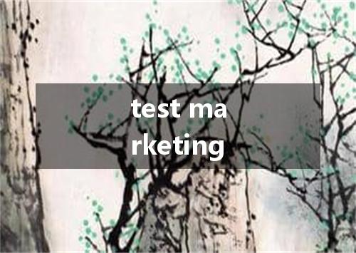 test marketing是什么意思