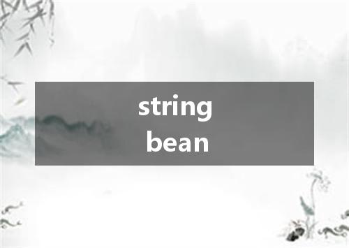 string bean是什么意思