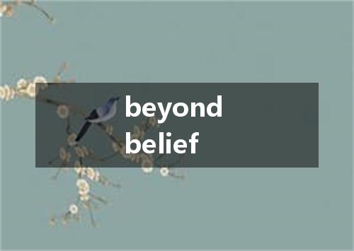 beyond belief是什么意思