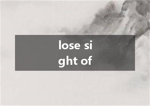 lose sight of是什么意思