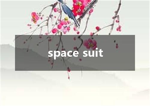 space suit是什么意思