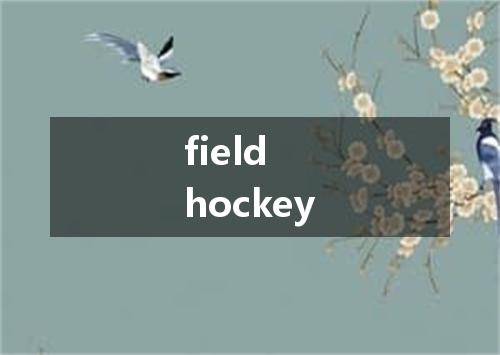 field hockey是什么意思
