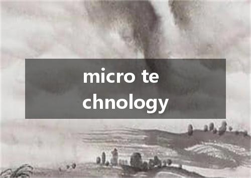 micro technology是什么意思