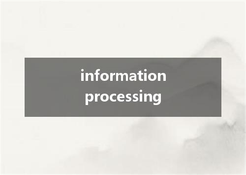 information processing是什么意思