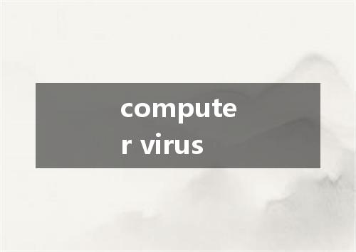 computer virus是什么意思