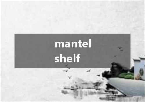 mantelshelf是什么意思