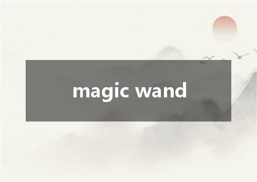 magic wand是什么意思