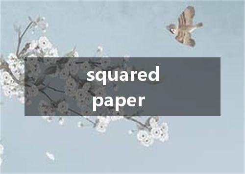 squared paper是什么意思