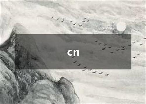 cn是什么意思