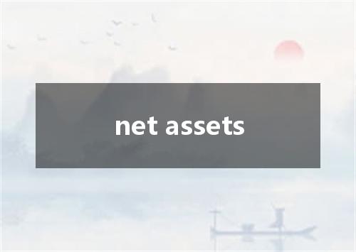 net assets是什么意思