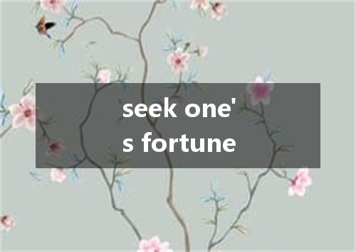 seek one's fortune是什么意思