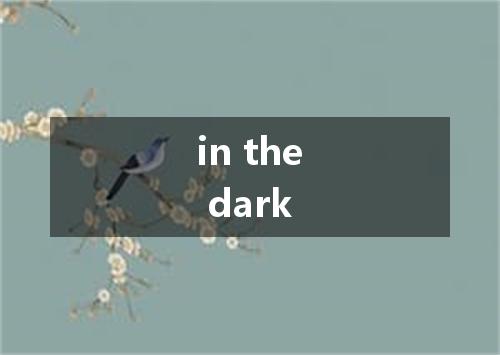in the dark是什么意思