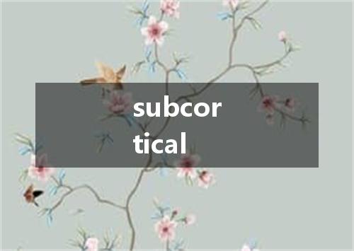 subcortical是什么意思