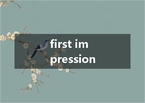 first impression是什么意思