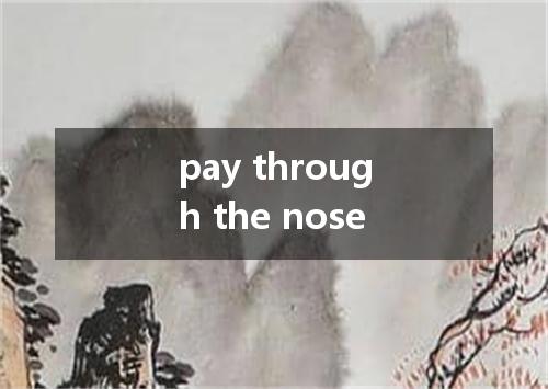 pay through the nose是什么意思
