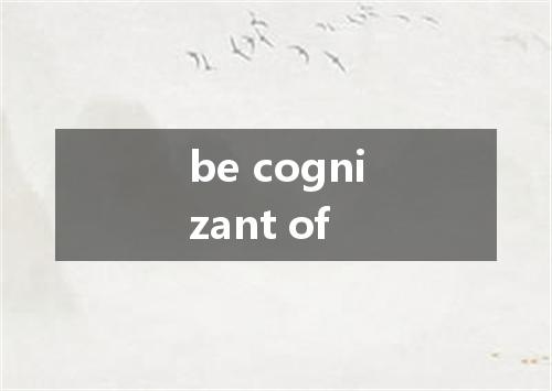 be cognizant of是什么意思