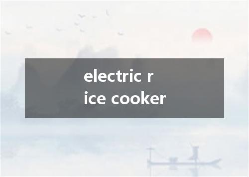 electric rice cooker是什么意思