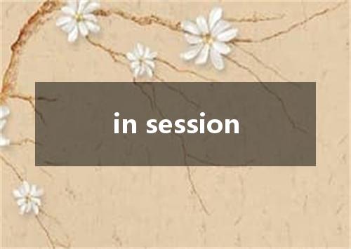 in session是什么意思