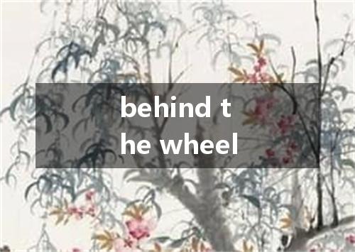 behind the wheel是什么意思