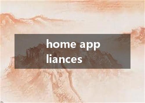 home appliances是什么意思